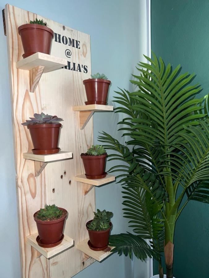 Home@Amalia'S Rundu Bagian luar foto